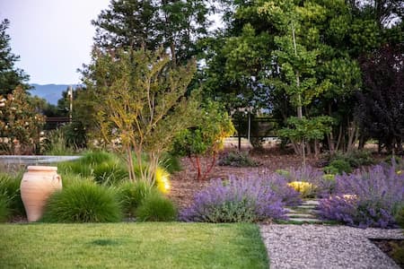The Seven Principles of Drought-Tolerant Landscaping