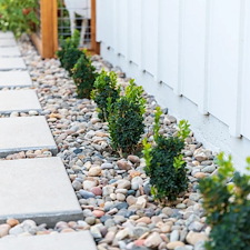 Modern Ranch John Thomas Sweepstakes Award 0