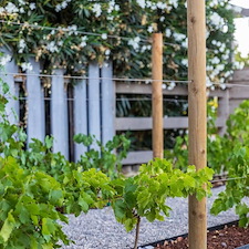 Modern Ranch John Thomas Sweepstakes Award 3