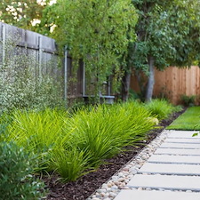 Modern Ranch John Thomas Sweepstakes Award 5