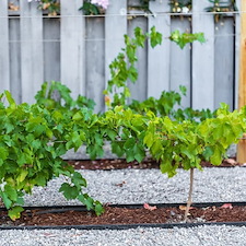 Modern Ranch John Thomas Sweepstakes Award 9