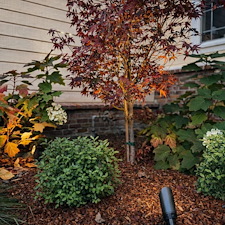 Brick-and-English-Garden-with-a-Twist-in-Arroyo-Grande 10