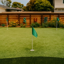 The Golf Enthusiast 1