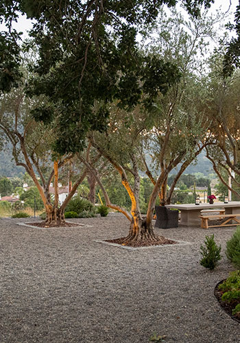 Landscape Design Service